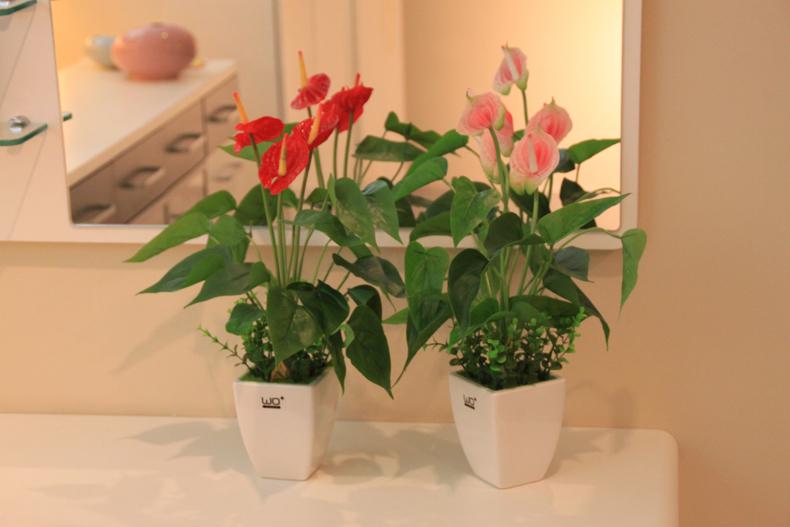 永吉花卉绿植租赁中不同场合有不同效果