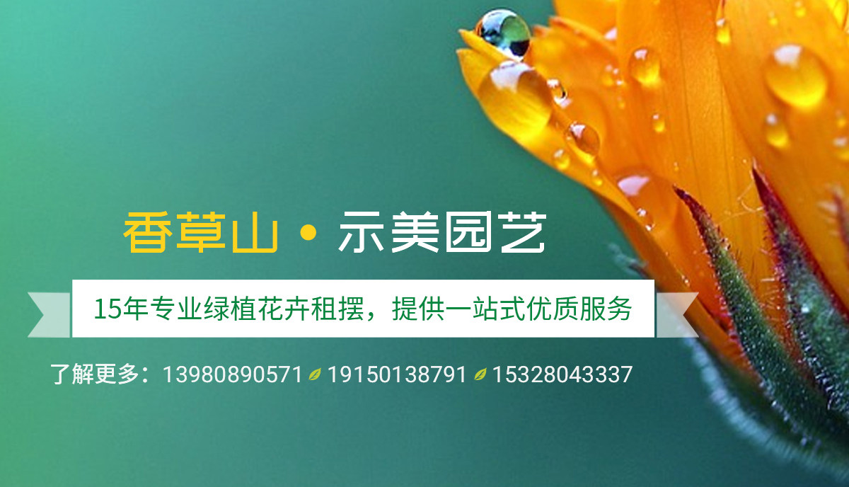 永吉香草山园艺：一千种多肉，一千种乖萌