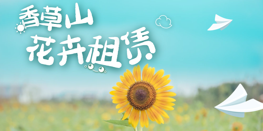 永吉30种常见植物的养护办法